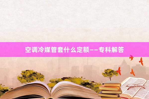 空调冷媒管套什么定额——专科解答